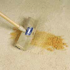 Carpet care product